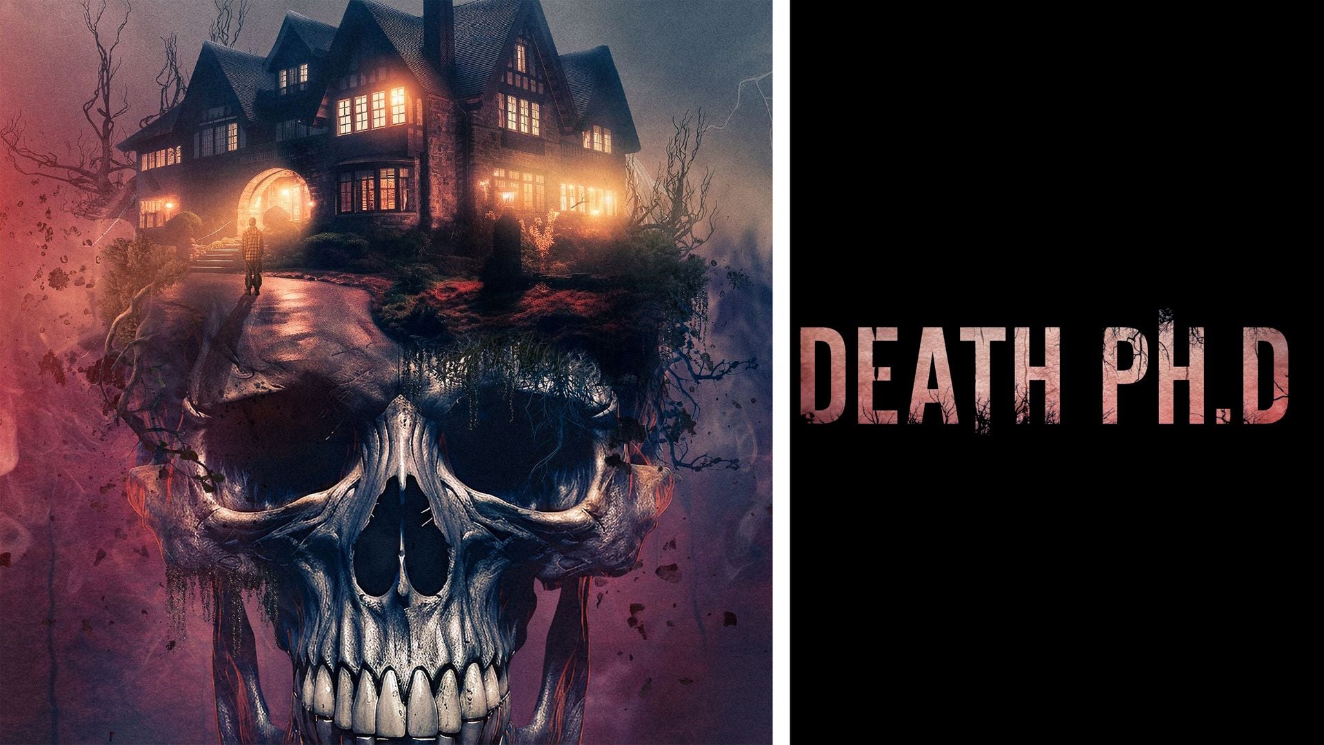 Death Ph.D movie poster